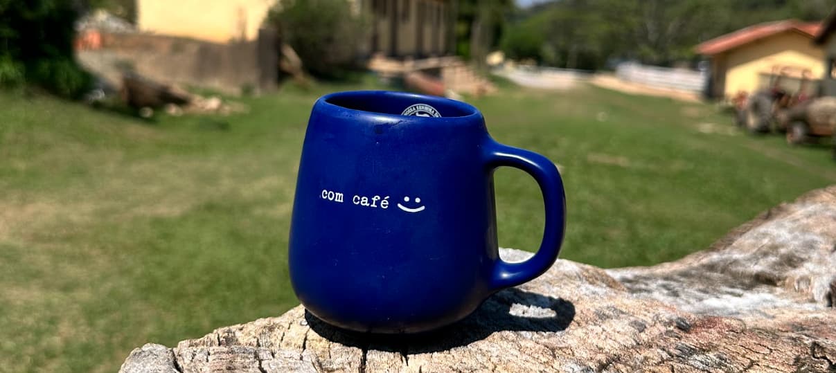 O que é café arábica: origem, sabor e curiosidades do grão