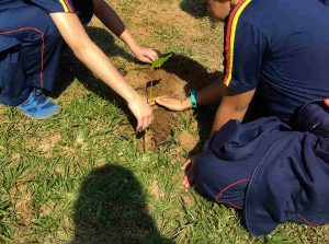 Passeios escolares com história, natureza e vivência
